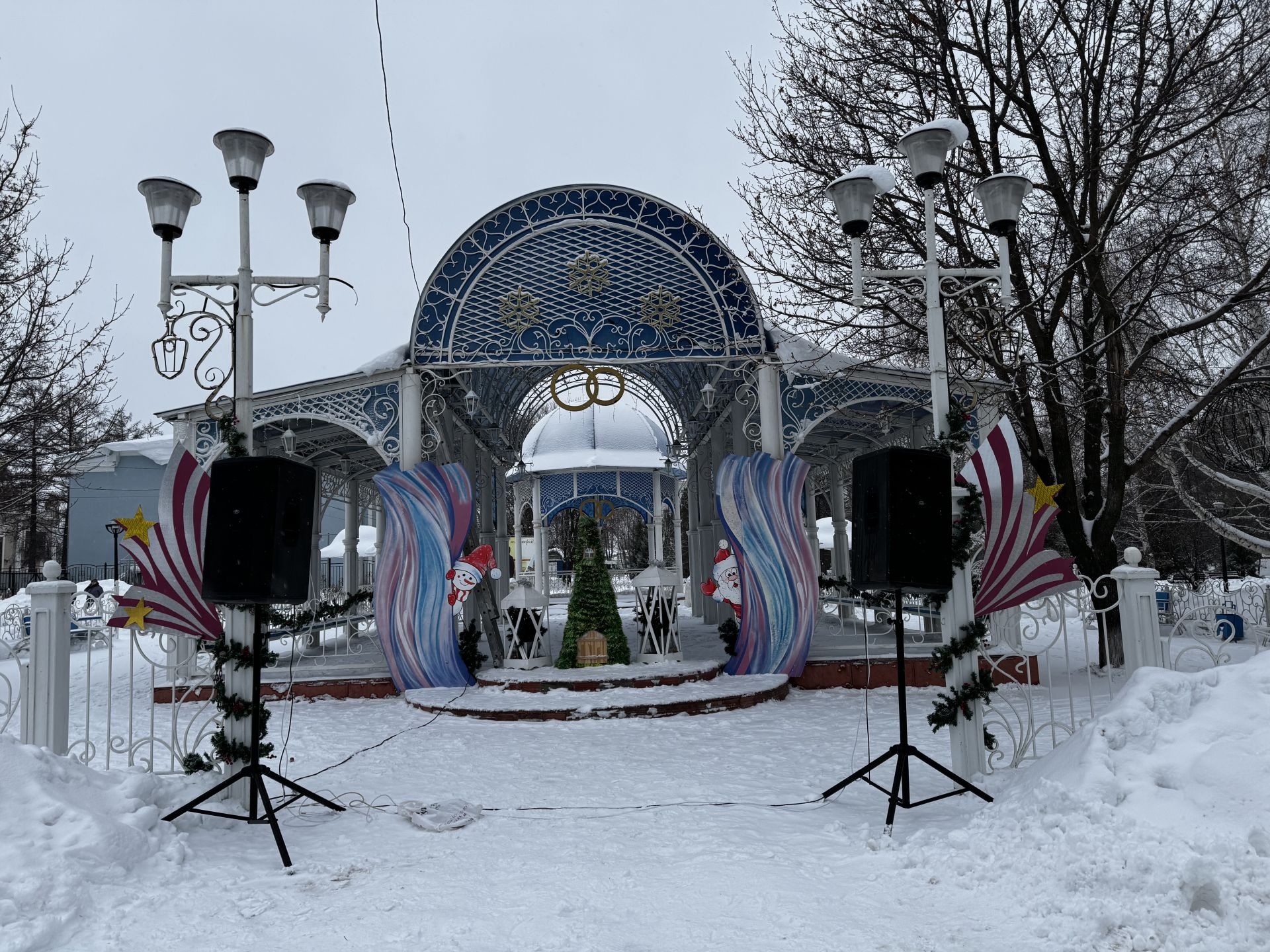 В Скарятинском саду зажгли главную ёлку города