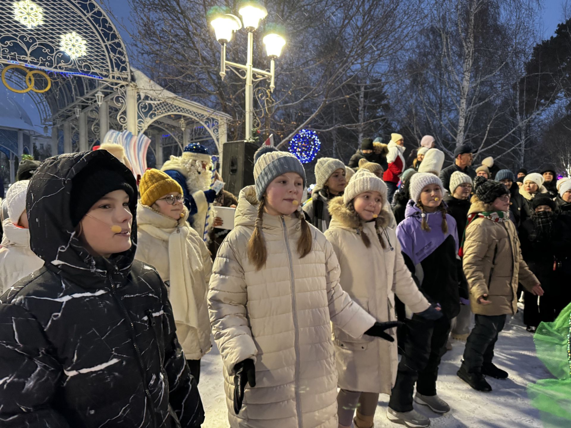 В Скарятинском саду зажгли главную ёлку города