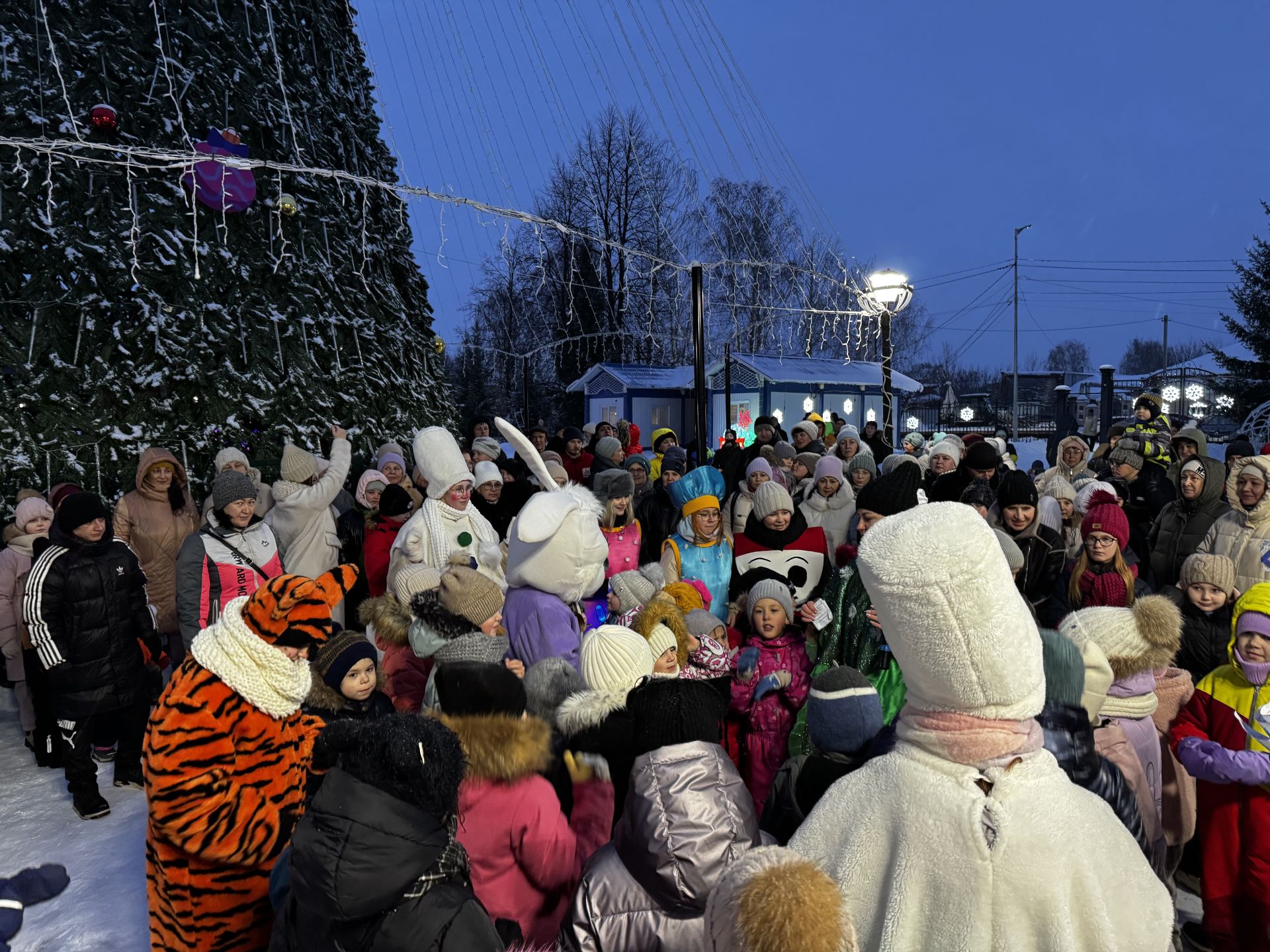 В Скарятинском саду зажгли главную ёлку города