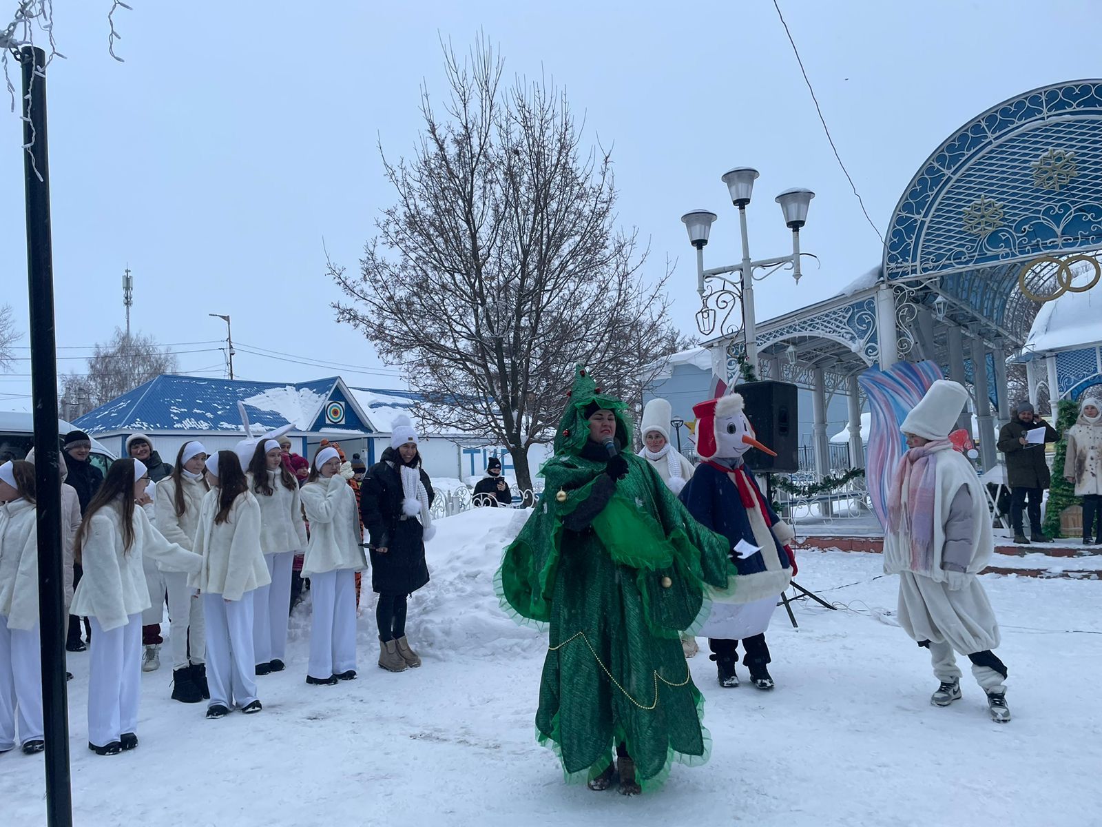 В Скарятинском саду зажгли главную ёлку города