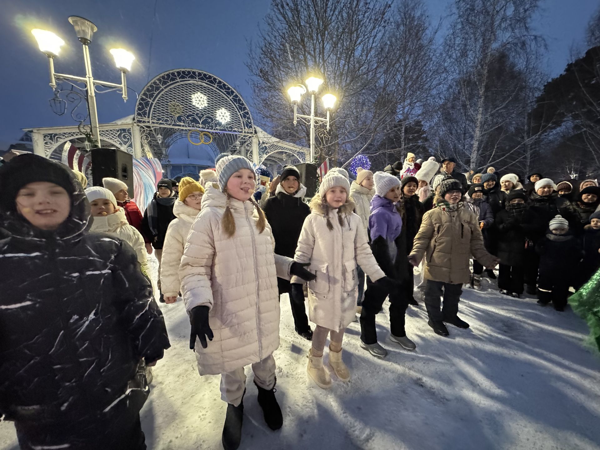 В Скарятинском саду зажгли главную ёлку города