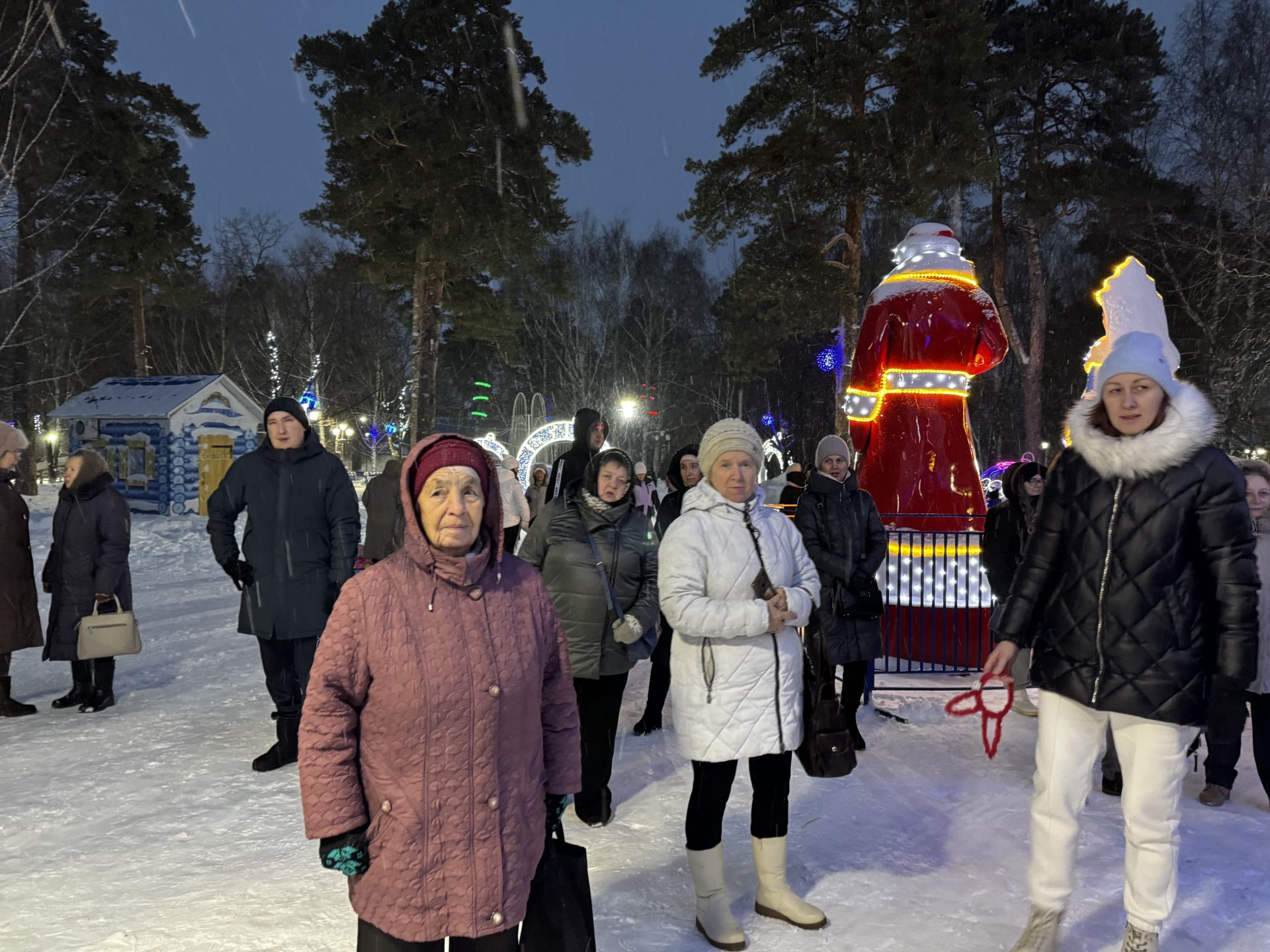 В Скарятинском саду зажгли главную ёлку города