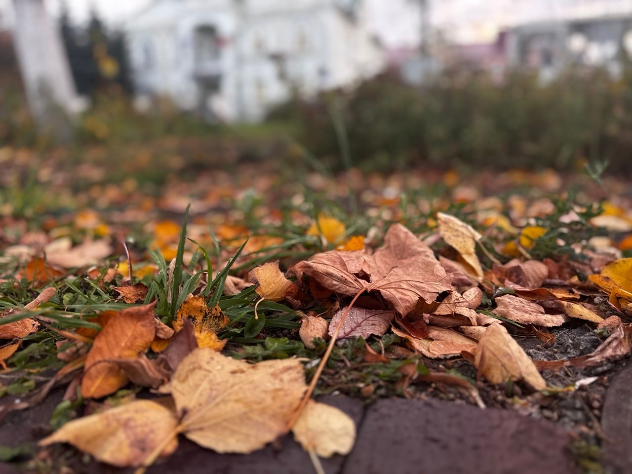 В Татарстане прогнозируют ночные заморозки