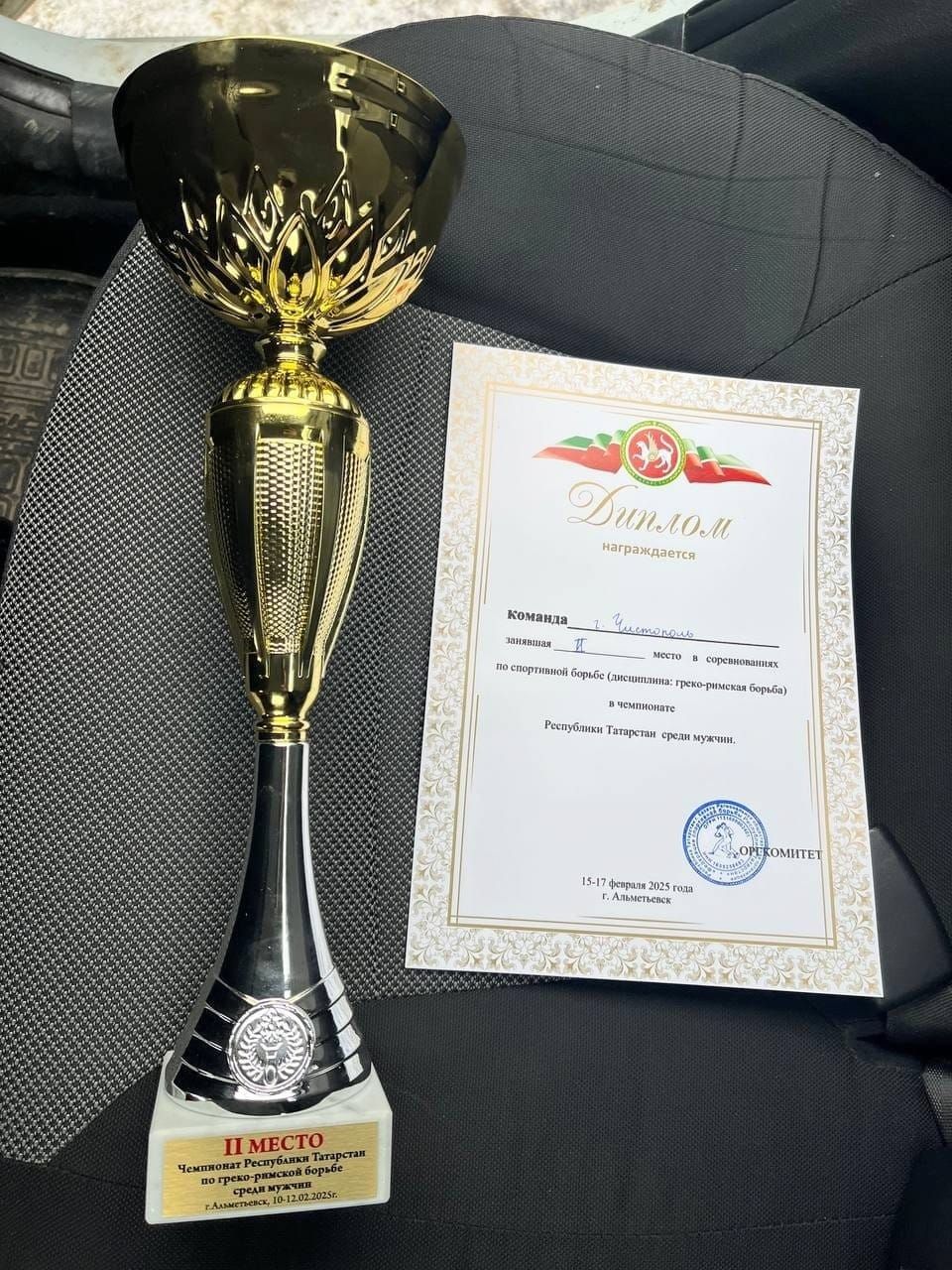 Чистопольские спорстмены завоевали медали разных достоинств на чемпионате РТ по греко-римской борьбе