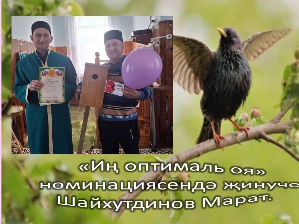 В одном из сел Чистопольского района наградили лучших мастеров скворечников