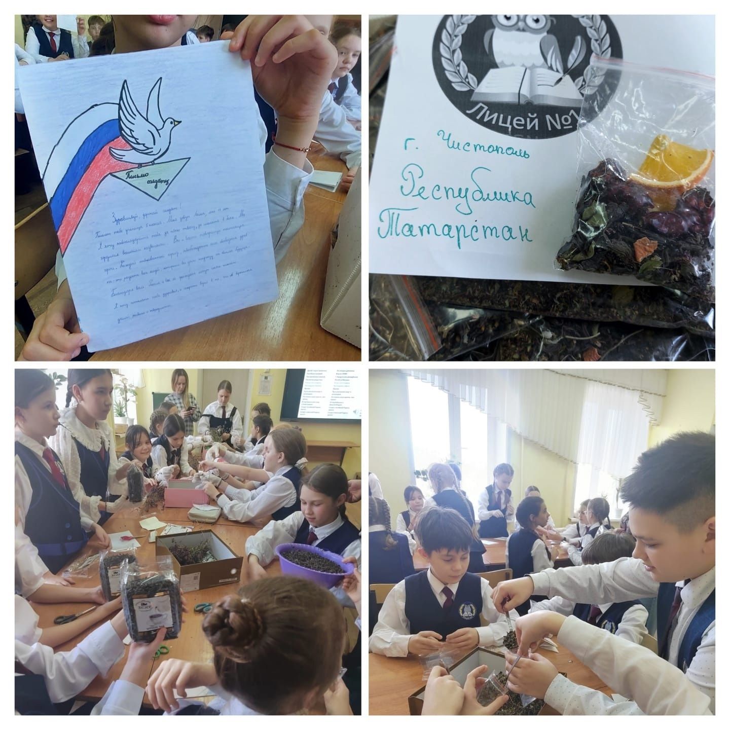 Чистопольские лицеисты создали целебный чай для бойцов СВО