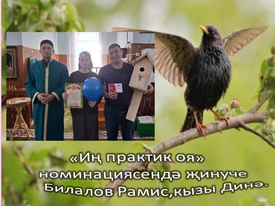 В одном из сел Чистопольского района наградили лучших мастеров скворечников
