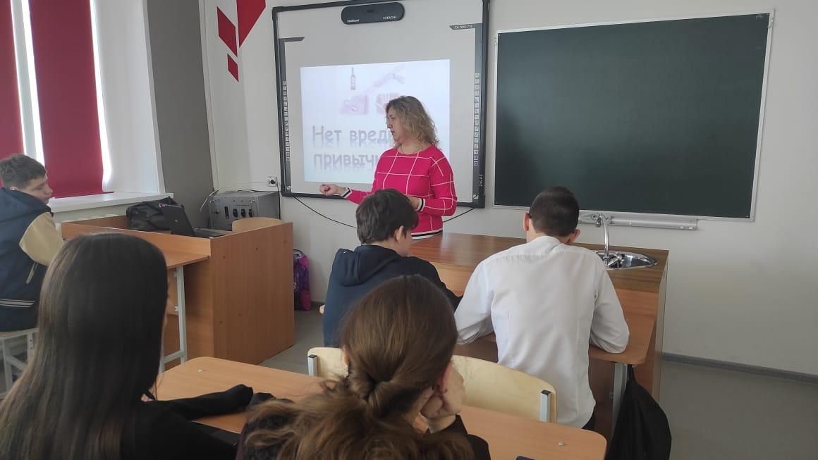 В Чистопольско-Высельской школе состоялось интерактивное занятие