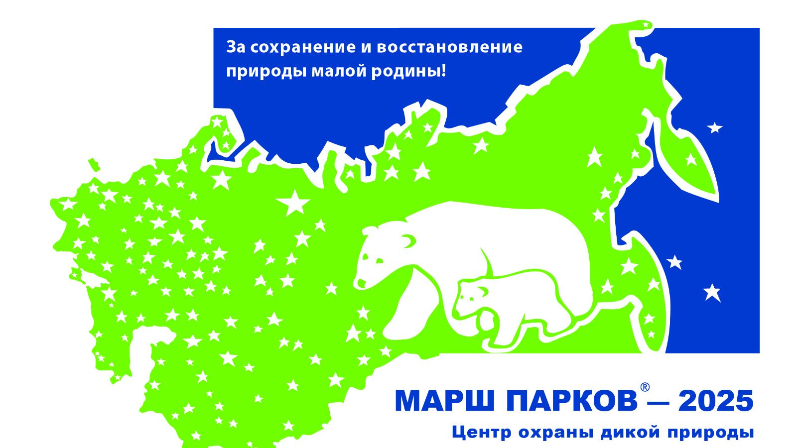 Рисуй, сажай, очищай: юных чистопольцев приглашают к участию в «Марше парков – 2025»