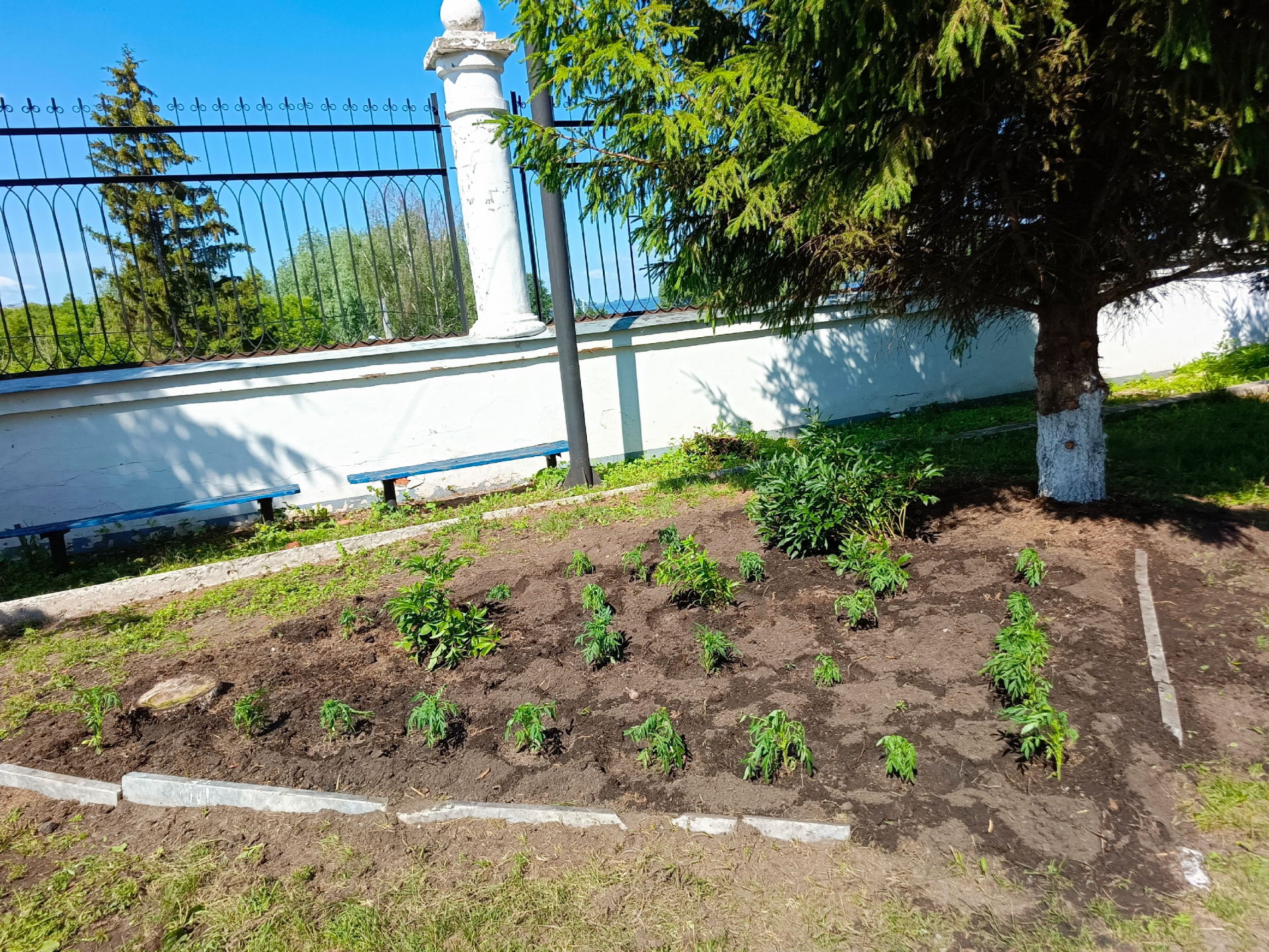 Добровольцы преображают территорию чистопольского собора