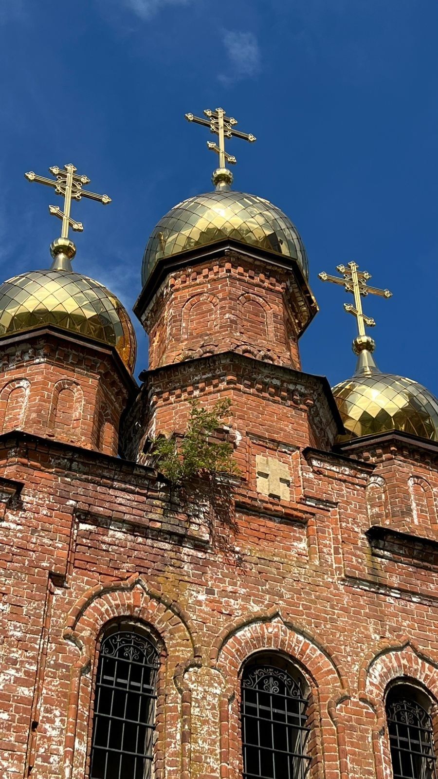 В старинном храме села Змиево молились апостолам Петру и Павлу