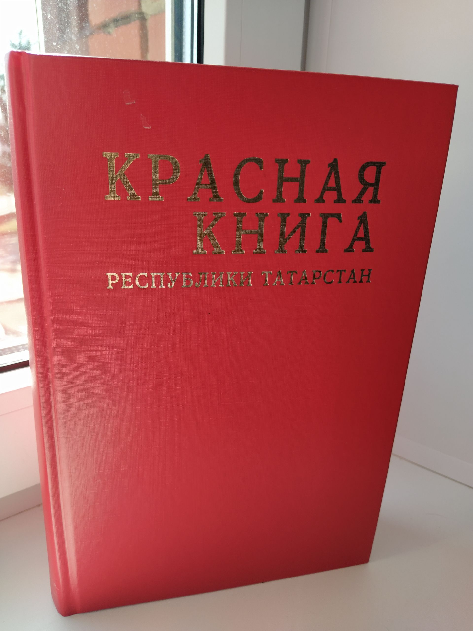 Какие редкие птицы и растения встречаются в Чистопольском районе