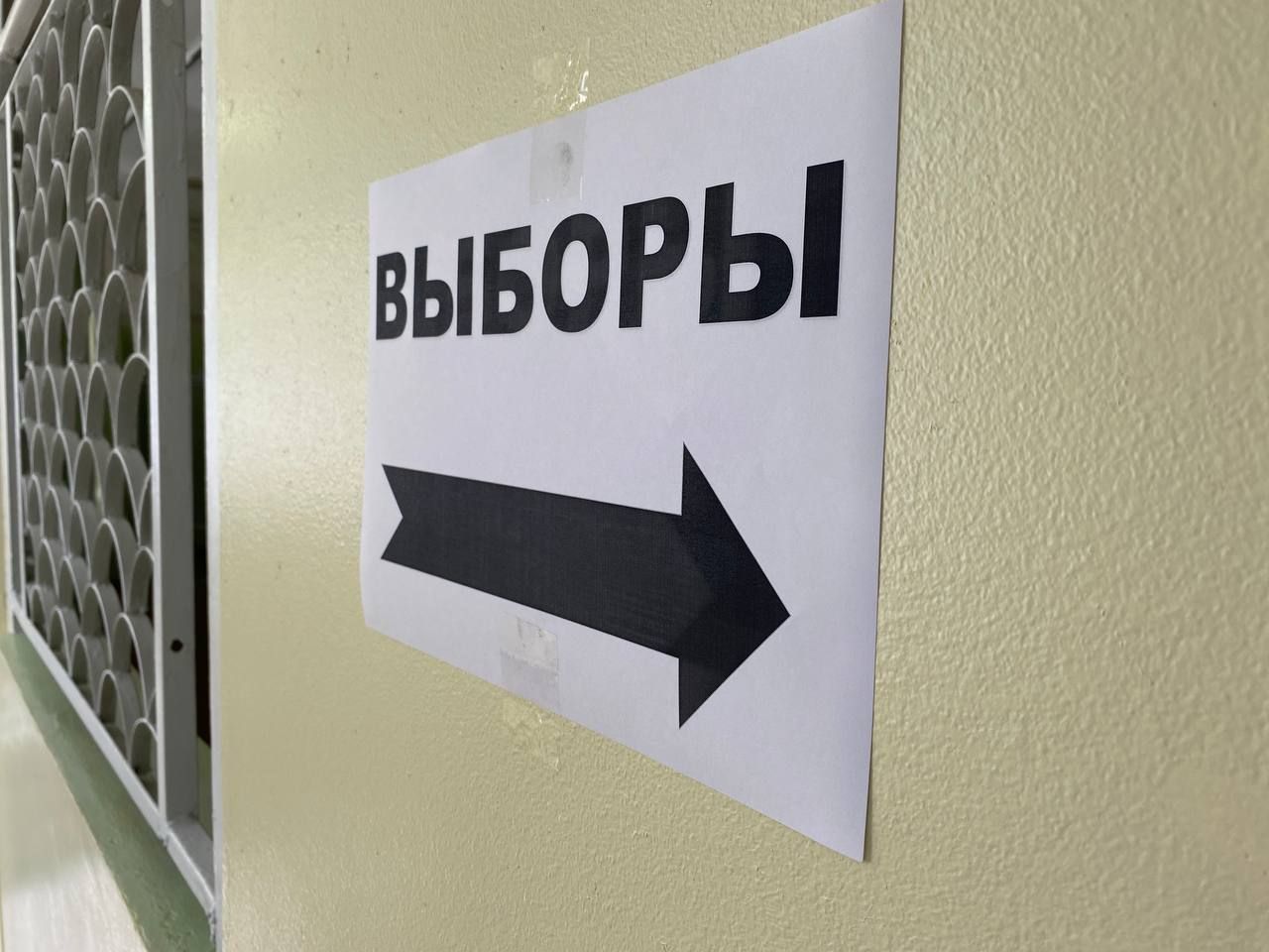 Чистопольцы активно участвуют в выборах