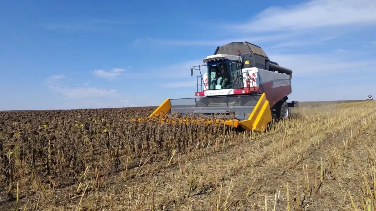 В Чистопольском районе завершена уборка зерновых
