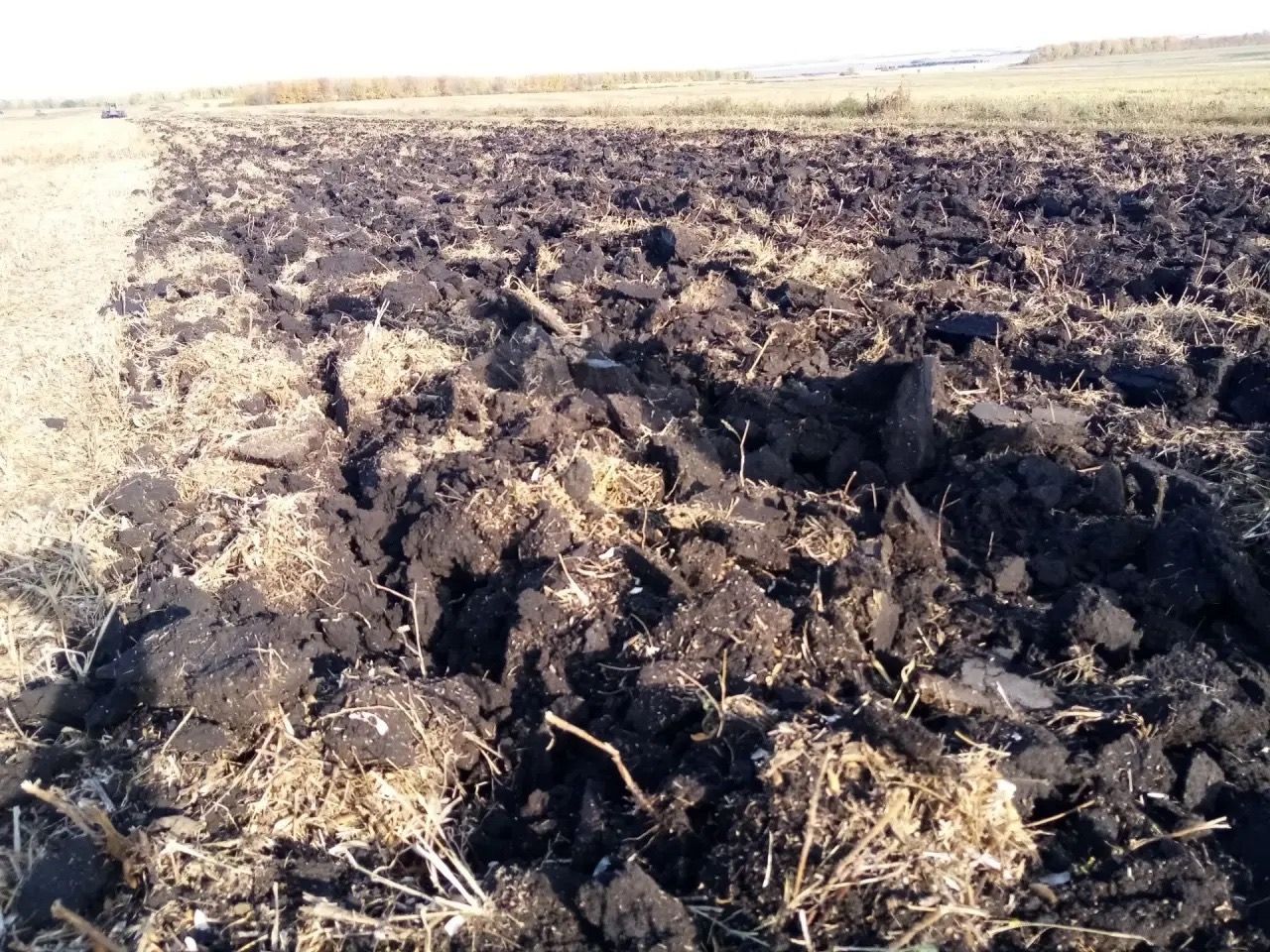 В Чистопольском районе завершена уборка зерновых