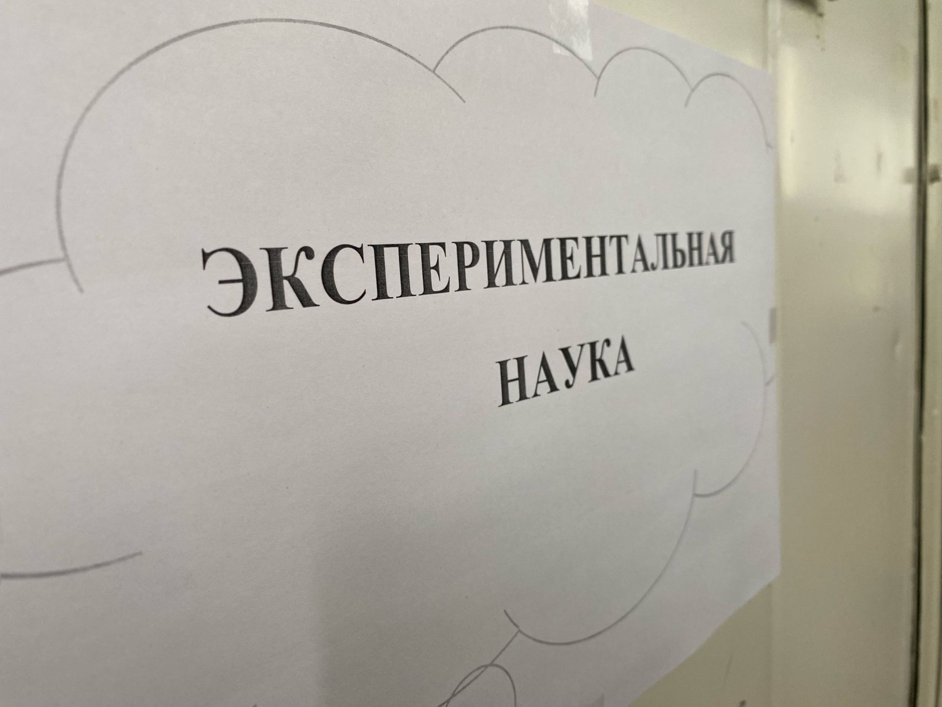 Чистопольская молодежь погрузилась в мир науки