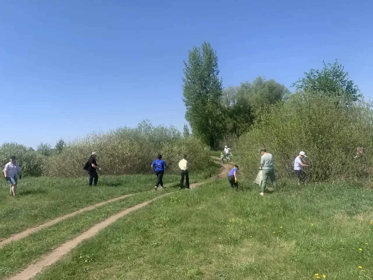 На территории заказника «Чистые луга» прошёл семейный экологический десант