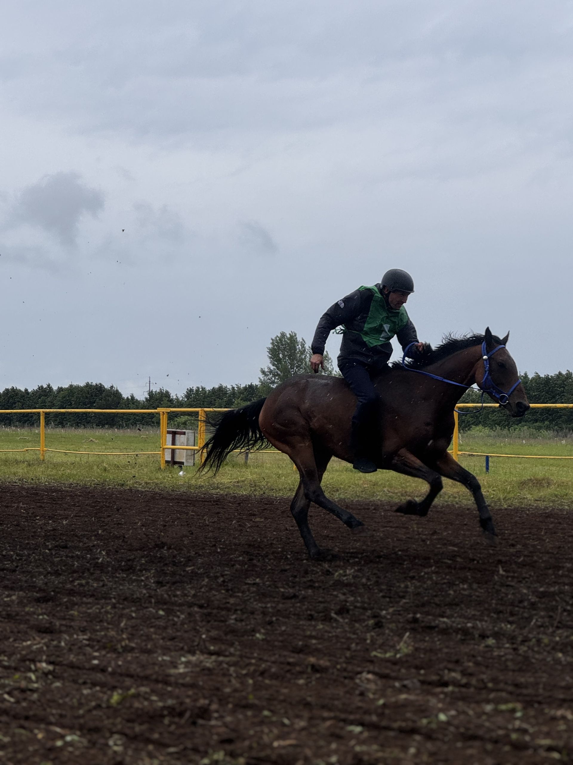 В Чистополе прошли конные скачки в честь Сабантуя