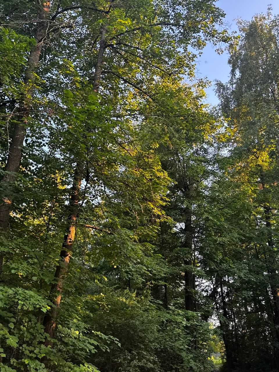 В Татарстане предупредили о риске природных пожаров в августе