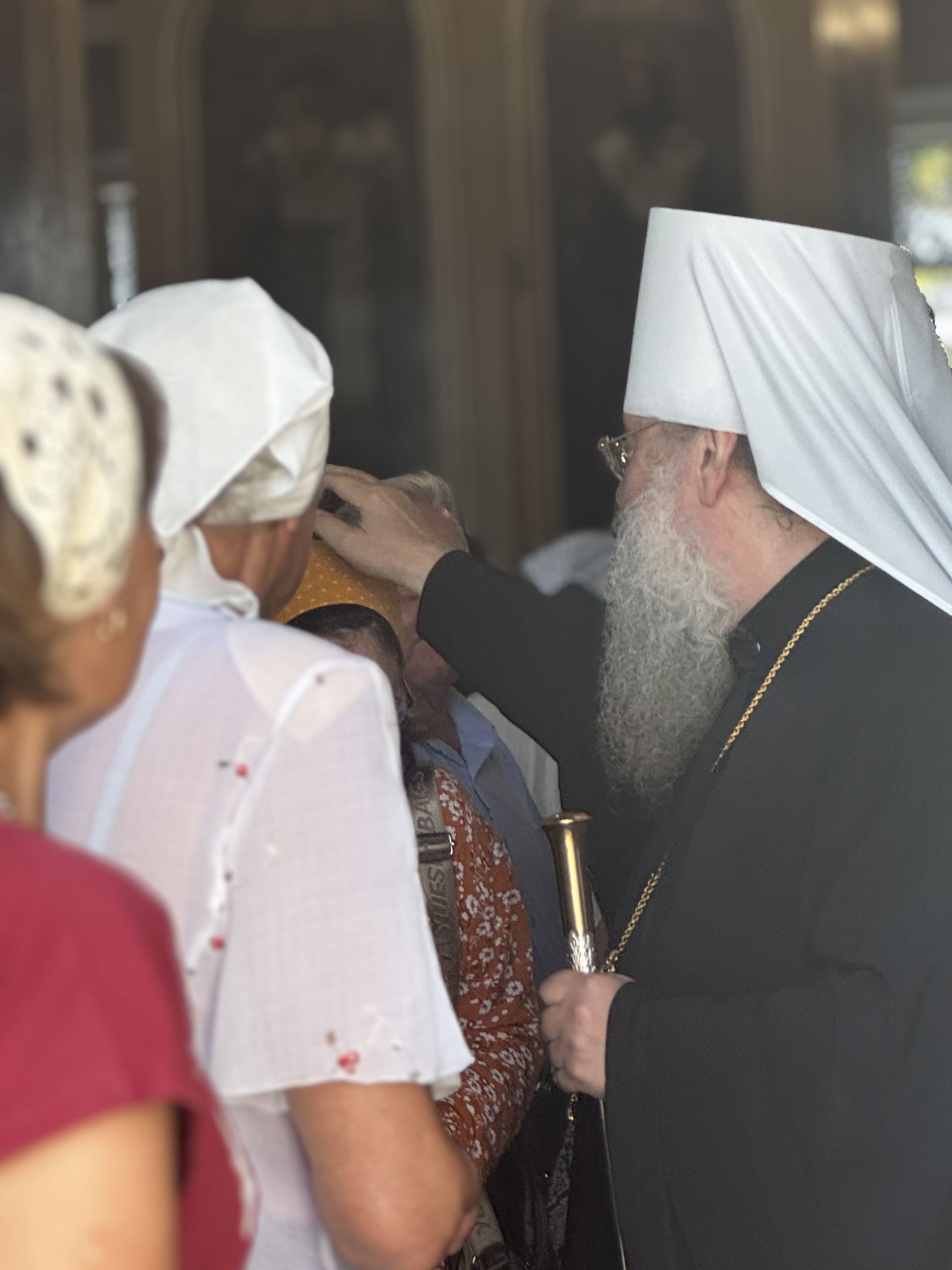 В Чистополе встретили нового архипастыря