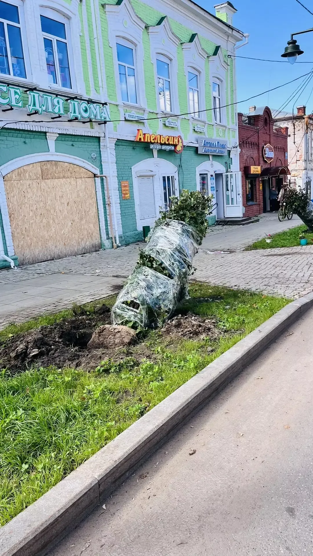 На улице Ленина в Чистополе высаживают деревья и кустарники