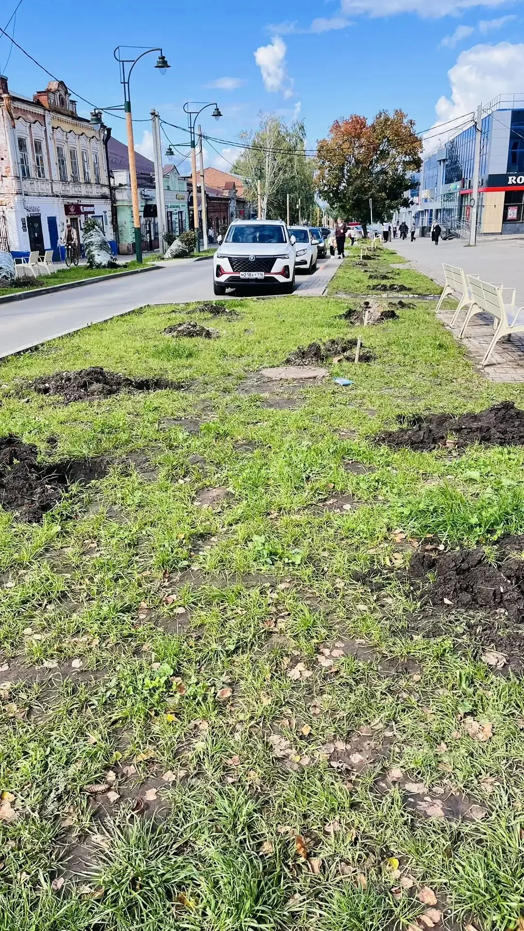 На улице Ленина в Чистополе высаживают деревья и кустарники