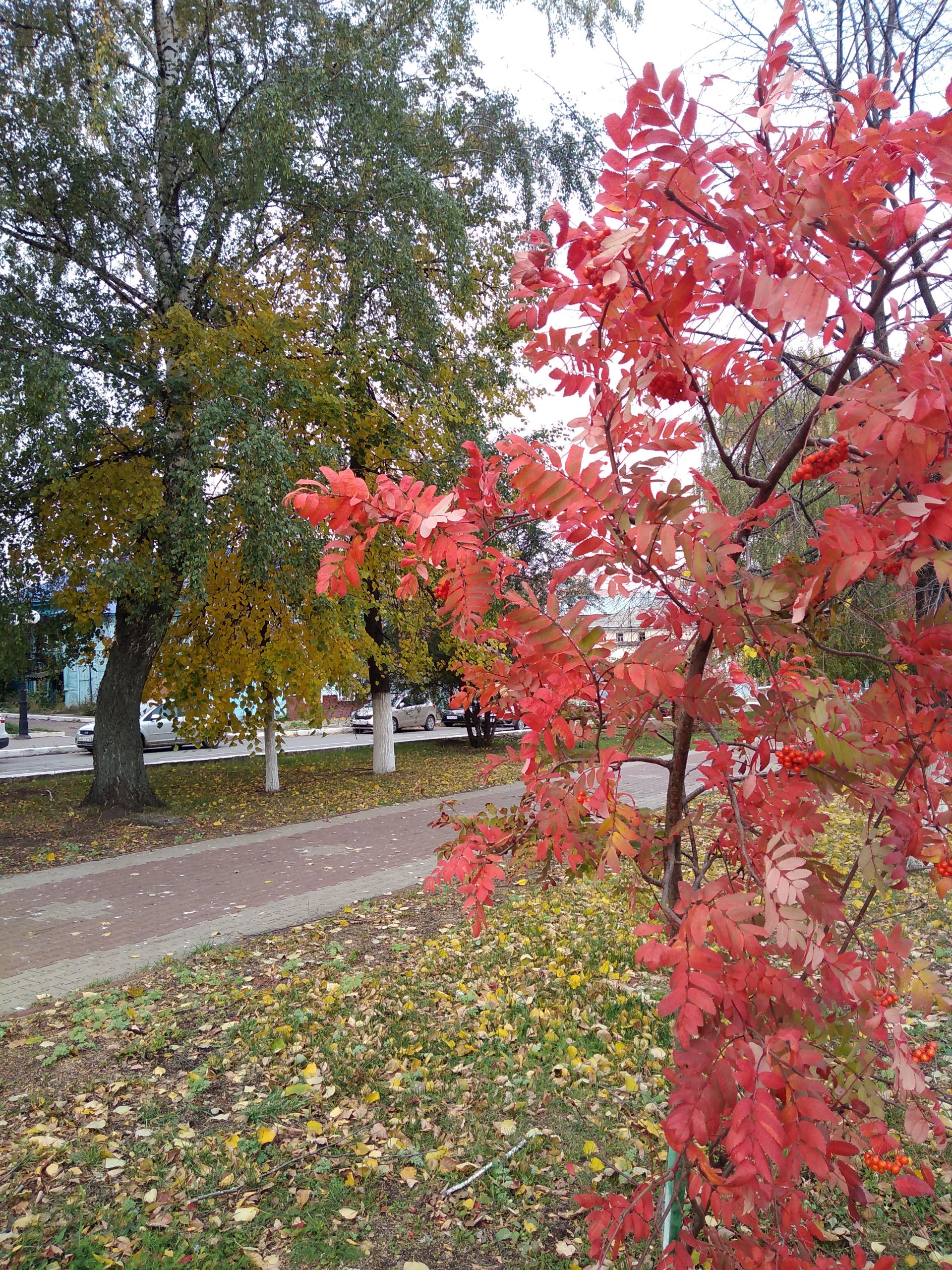 Осенний Чистополь