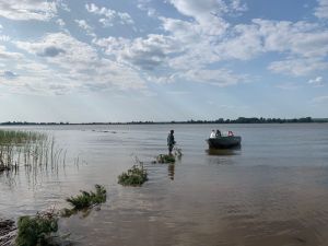 В Чистопольском районе на реке Прость установлены искусственные нерестилища