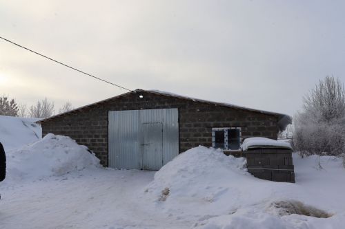 Владелец ЛПХ из Чистопольского района рассказал о развитии своего дела на селе