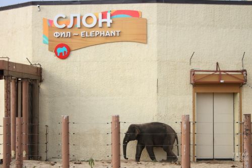 Казанский зоопарк перешел на осенний режим работы