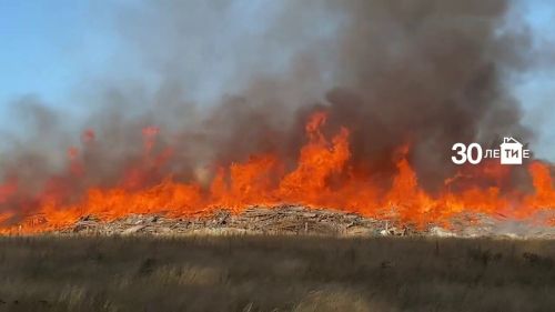 В РТ во время пожароопасного сезона произошло 942 возгорания