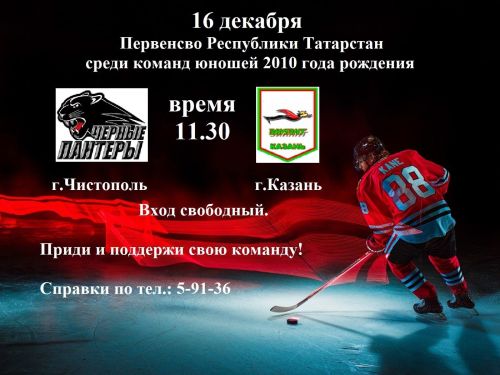 В чистопольском ледовом дворце пройдет Первенство РТ по хоккею