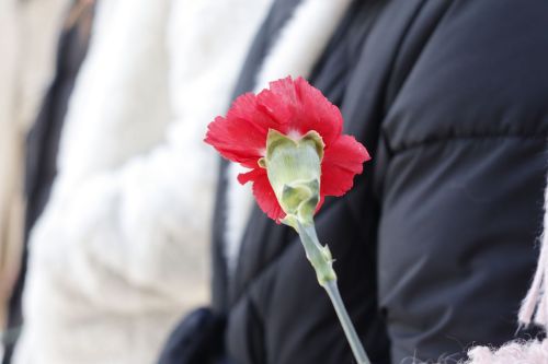 1нче мәктәп бинасында махсус хәрби операциядә һәлак булганнар истәлегенә мемориаль такталар ачылды
