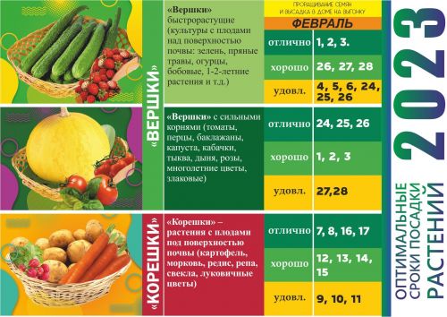 Сажаем по лунному календарю