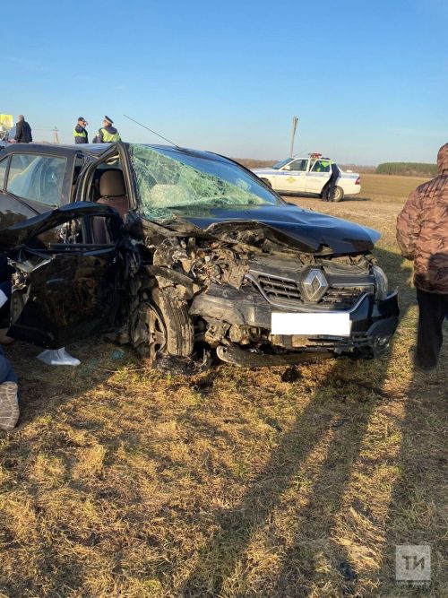 Под Казанью лоб в лоб столкнулись два автомобиля