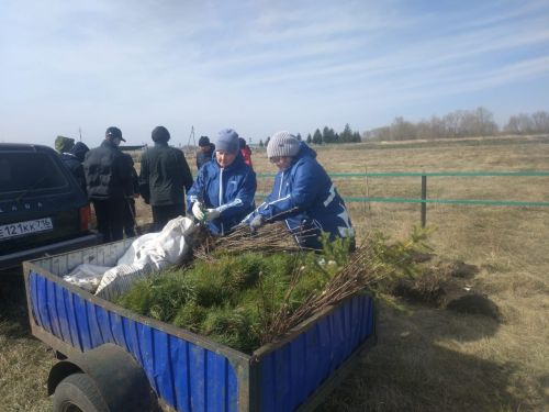 Кызыл Ялан яшеллеккә күмелә