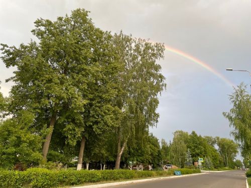 Плюс 19 градусов обещают синоптики в Чистополе
