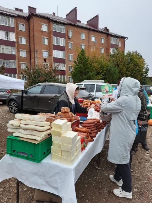 В Чистополе проходит первая осенняя сельскохозяйственная ярмарка (фоторепортаж)