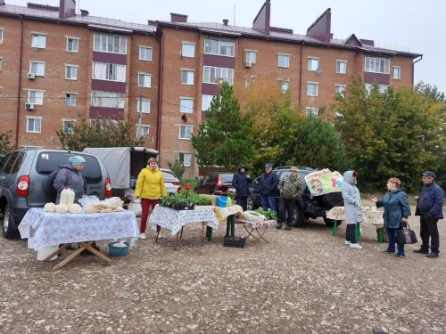 В Чистополе проходит первая осенняя сельскохозяйственная ярмарка (фоторепортаж)