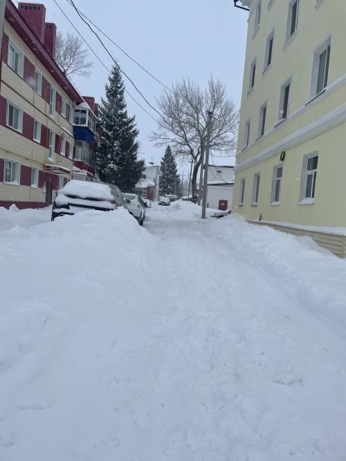 Чистопольцы борются со стихией