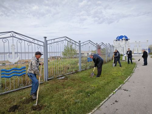 «Кама» яр буенда 30 яшь агач утырттылар