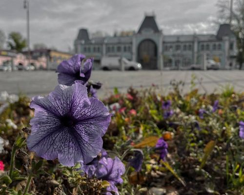 В четверг в Татарстане ожидается сильный ветер