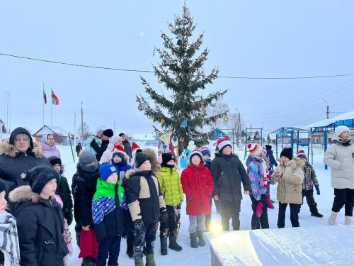 В микрорайонах Чистополя продолжаются открытия ёлок