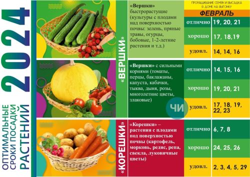 Посевной календарь на февраль 2024