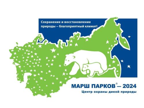 Чистопольцев приглашают принять участие в экологических конкурсах в рамках акции «Марш парков-2024»