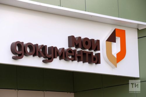 МФЦ Татарстана приостановил оказание услуг