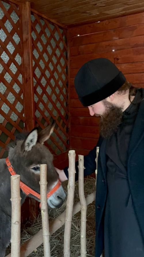 В вертепе Казанского храма Чистополя верующих встречает живой ослик