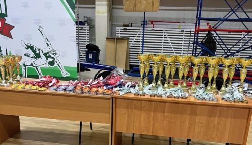 Чистопольские борцы завоевали награды на республиканских соревнованиях
