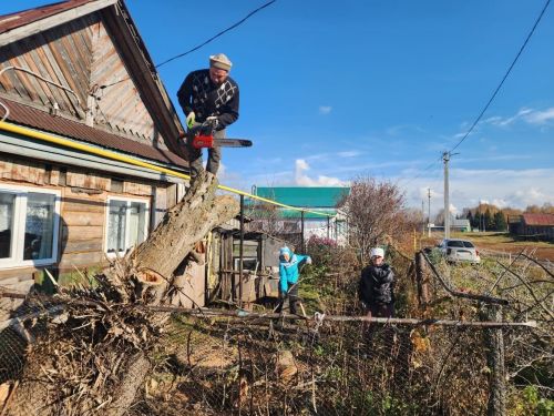 Волонтеры культуры Чистопольского района помогли труженице тыла облагородить придомовую территорию