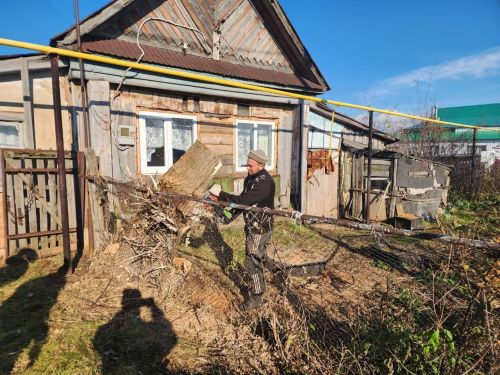 Волонтеры культуры Чистопольского района помогли труженице тыла облагородить придомовую территорию